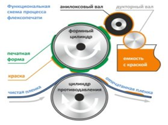 Печать по пленке флексографией